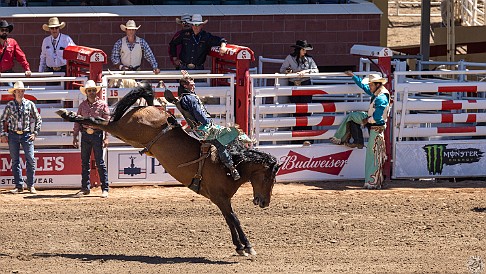 Stampede-052 Bareback riding was the first of an entire afternoon of competitions at the Calgary Stampede rodeo! 🐎🐎