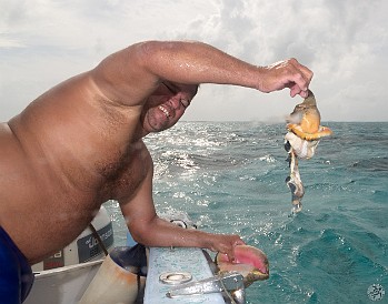 Man vs. conch, man won Feb 3, 2012 3:06 PM : Grand Cayman