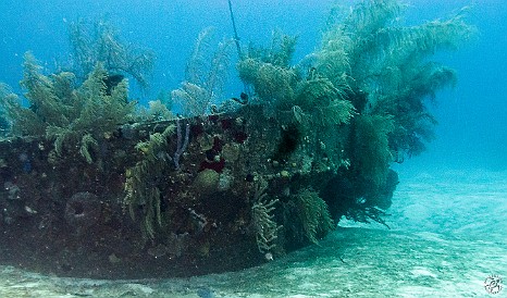 Stern of the Doc Poulson Wreck of the Doc Poulson, Grand Cayman The stern of the Doc Poulson, which was a Japanese cable-laying ship that was purposely sunk in 1981 to create an artificial reef. The wreck site is named for...