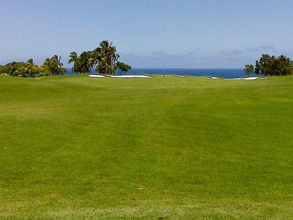 Hawaii2010-017.jpg