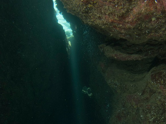 May 18, 2012 11:33 AM : Diving, Kauai, Tunnels Outer Reef