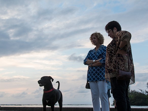 Janie and Max give directions to a dog that was searching for its owner on the pier May 15, 2014 6:59 PM : Janie Strasser, Kauai, Maxine Klein