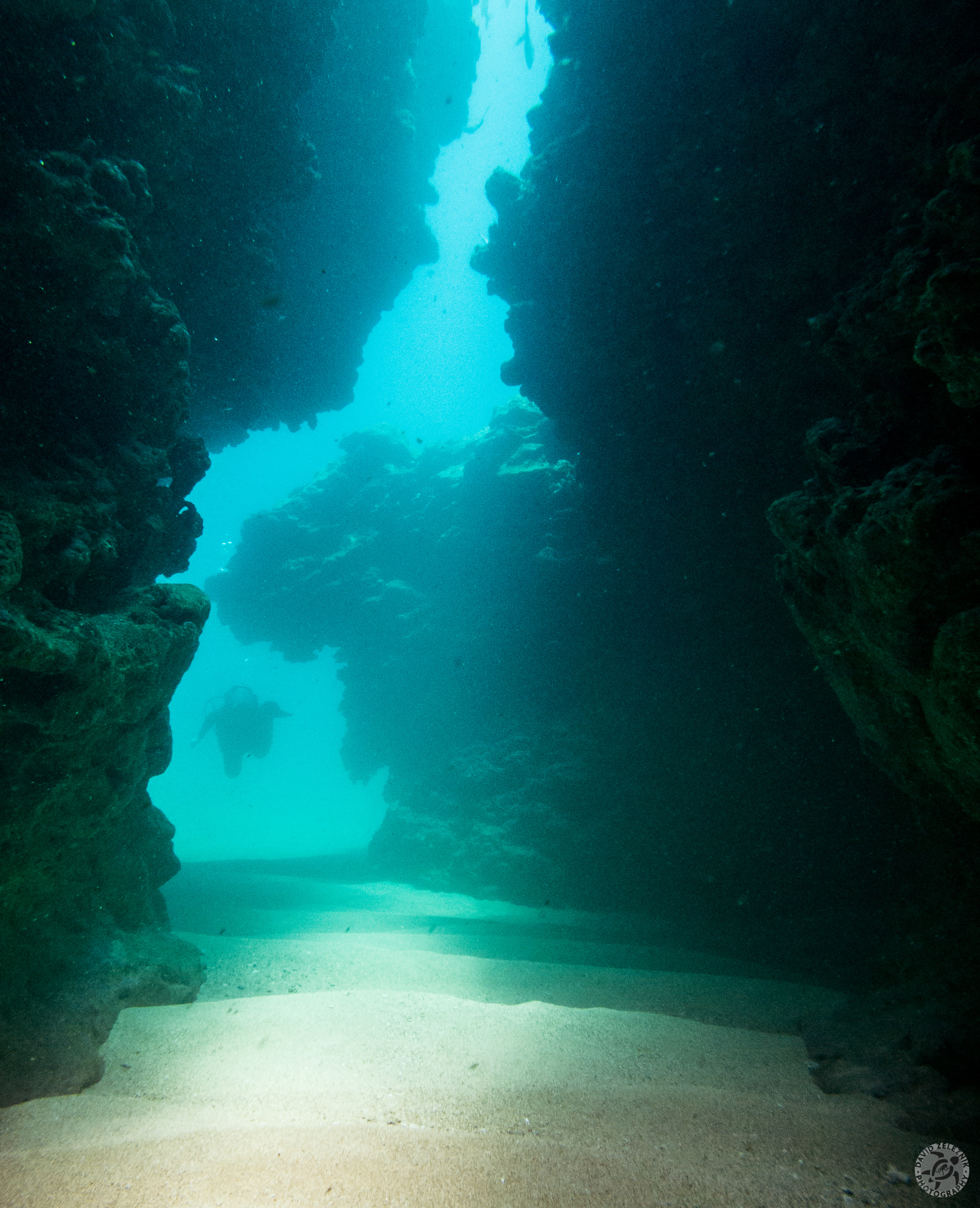 Cavern swimthrough<br/><small>Tunnels Reef, Kauai</small>
