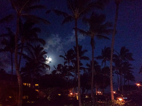 Max and I were on our own Friday night, so we went to one of our favorite spots Hukilau Lanai. We sat outside and it happened to be a full moon through the palm trees. May 20, 2016 7:49 PM