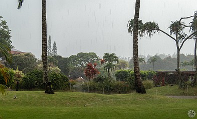 Kauai 2019-015 Finally got a big dose of north shore winter rain only to see that they have the sprinklers going full blast! Wha...??