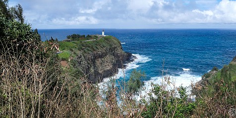 Kauai 2019-018 We need to kill some time before the local farmer's market opened, so we stopped by the Kilauea lighthouse and bird sanctuary to soak in the views
