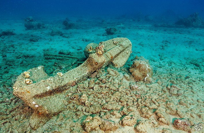 This anchor is one of many relics of a bygone era when Koloa Landing was the third largest whaling port in the Hawaiian Islands. Later the landing became Kauai's primary shipping location for the sugar plantations until it was abandoned in 1912. Koloa Landing dive site, Kauai, USA This anchor is one of many relics of a bygone era when Koloa Landing was the third largest whaling port in the Hawaiian Islands. Later the landing became...