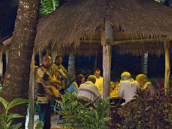 Yes, the well meaning strolling Caribbean musicians are a bit annoying. Especially the guy playing the corrugated thermos! Jan 9, 2009 8:34 PM