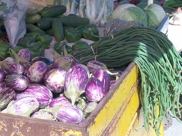Bright eggplants and long beans Jan 10, 2009 10:30 AM