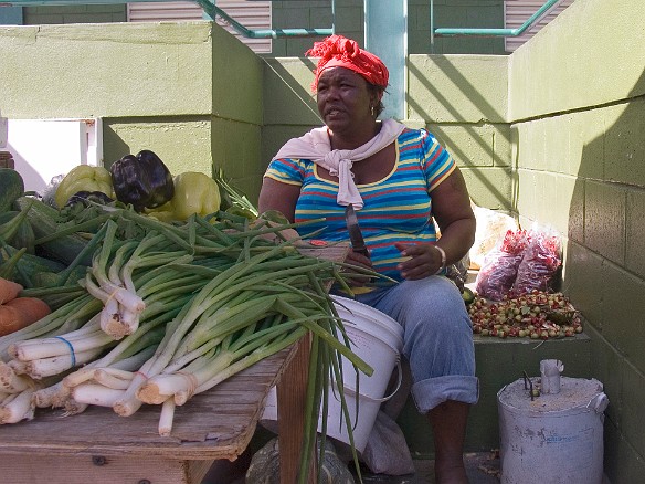 Jan 10, 2009 10:31 AM : Antigua 2009-01