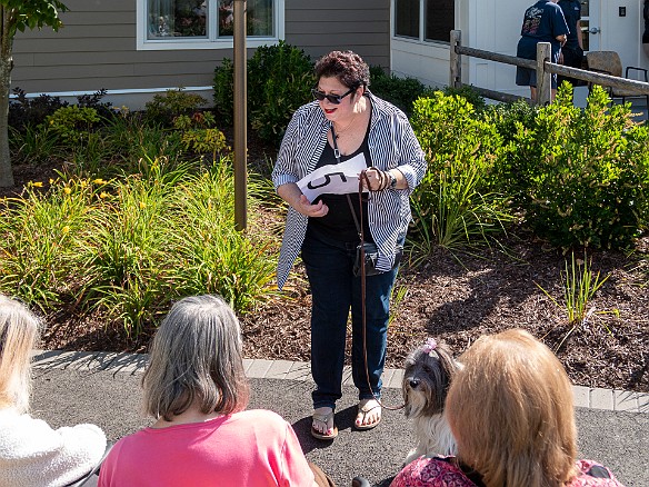 Bridges Dog Show 2019-009 Sophie goes before the judging panel of five residents