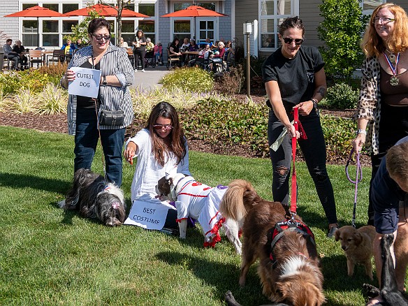 Bridges Dog Show 2019-022 The winners photo lineup is even crazier. I should have switched to video mode since trying to get a half dozen dogs to pose at the same time was clearly...