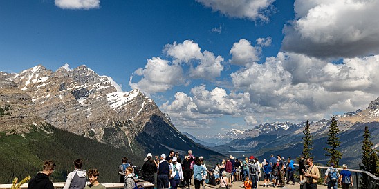 IcefieldsParkway-011 View over Peyto Lake