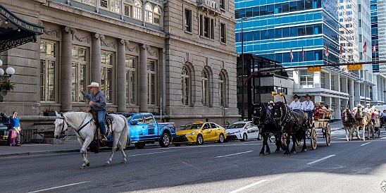 Stampede-002 As if we needed additional confirmation that the Stampede was in town other than all the urban cowboys wandering around in their spotless duds, a horse parade...