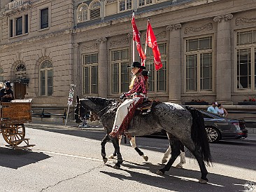 Stampede-009 As if we needed additional confirmation that the Stampede was in town other than all the urban cowboys wandering around in their spotless duds, a horse parade...