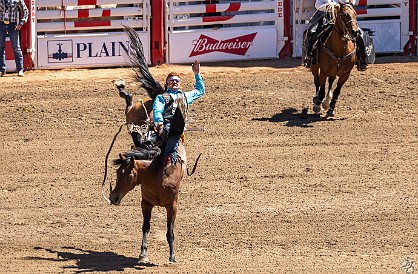 Stampede-043 Bareback riding was the first of an entire afternoon of competitions at the Calgary Stampede rodeo! 🐎🐎