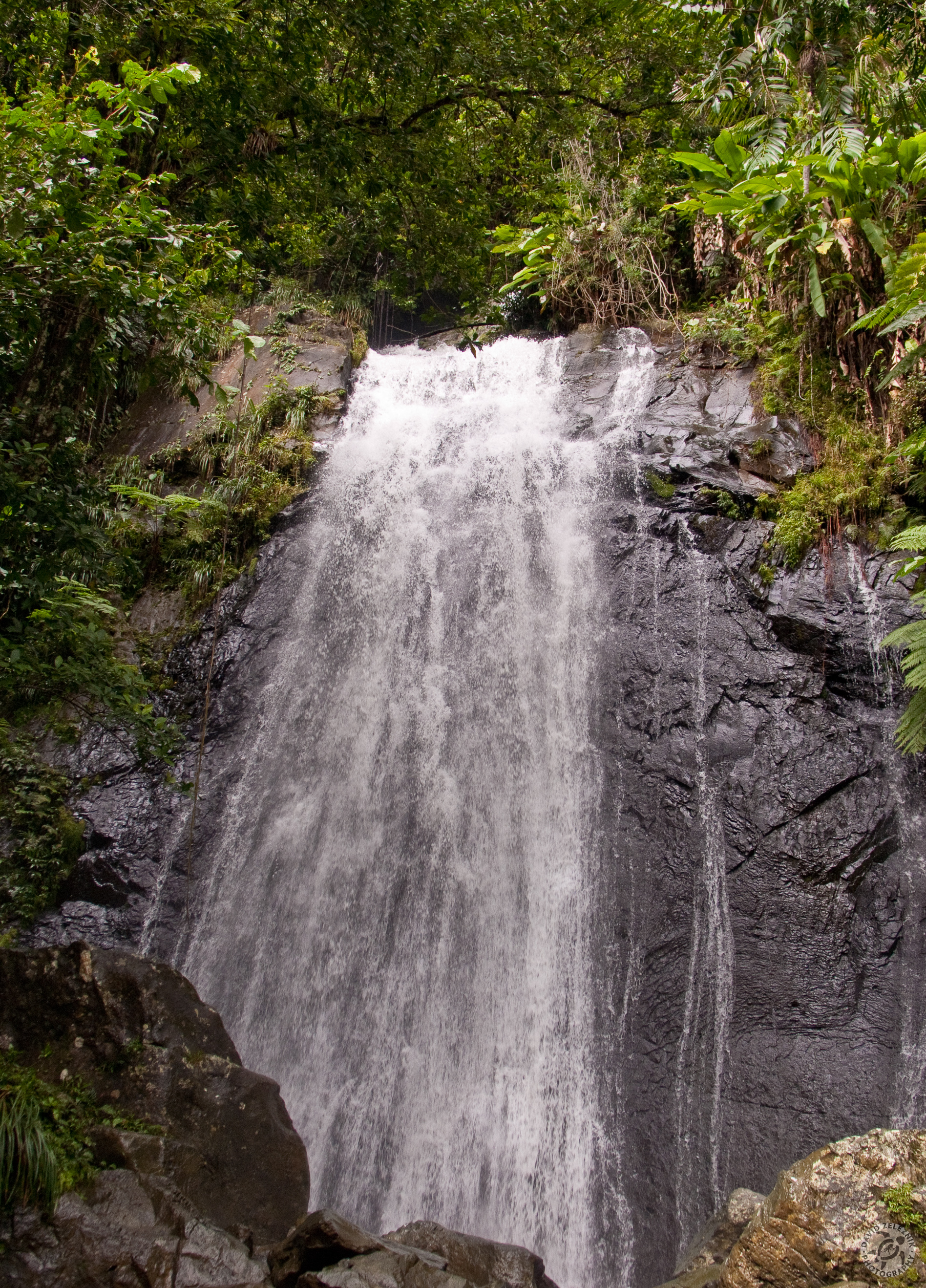 CaribbeanCruise2010-091