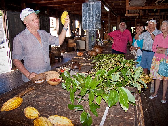 The guide shows how cocoa beans are cut from the pods and dried Jan 14, 2010 10:25 AM : Grenada, SilverSea Caribbean Cruise 2010