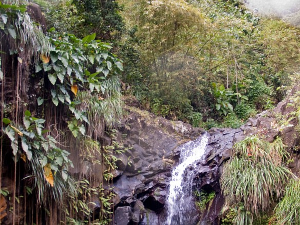 The falls are a small stream dropping over some rocks. Not shown in this photo are a bunch of locals who jump off the rocks and then solicit donations for their "diving club". Of course, more trinkets and tchotchkes can be purchased from the myriad stands that block the way from the bus down to the falls. Jan 14, 2010 12:53 PM : Grenada, SilverSea Caribbean Cruise 2010