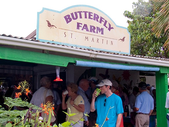 Our tour of the island starts at a butterfly farm Jan 16, 2010 9:07 AM : SilverSea Caribbean Cruise 2010, St. Martin