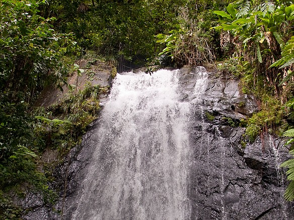 Jan 18, 2010 11:10 AM : El Yunque, Puerto Rico, SilverSea Caribbean Cruise 2010