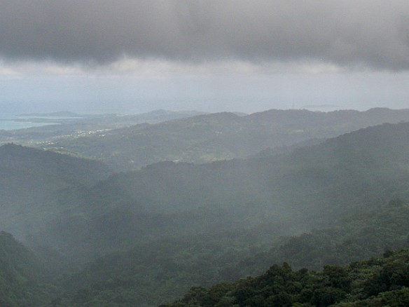 The view from the top of the tower towards the northeast coast of Puerto Rico Jan 18, 2010 11:29 AM : El Yunque, Puerto Rico, SilverSea Caribbean Cruise 2010