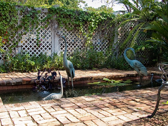 The gardens offer much needed peace and quiet, away from the tumult of tourist-crazy Duval Street Jan 21, 2010 11:44 AM : Key West, SilverSea Caribbean Cruise 2010