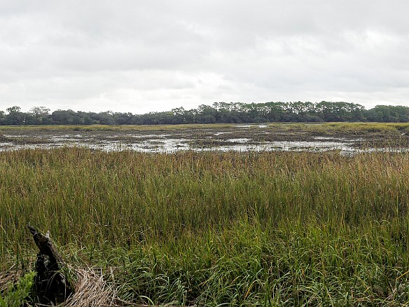 Bluffton2019-003 The tidal salt marsh extends out to the Okatie River