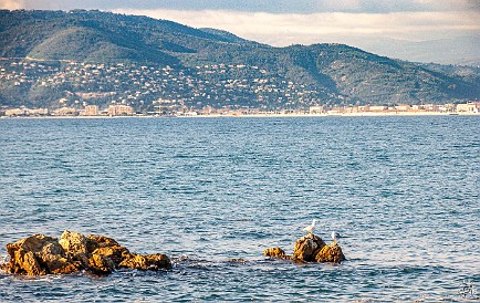 Côte d'Azur-010 View across the bay towards Cannes