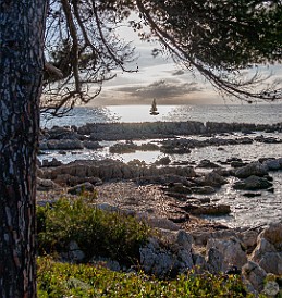 Côte d'Azur-011 The rocky limestone coast of Île Saint-Honorat