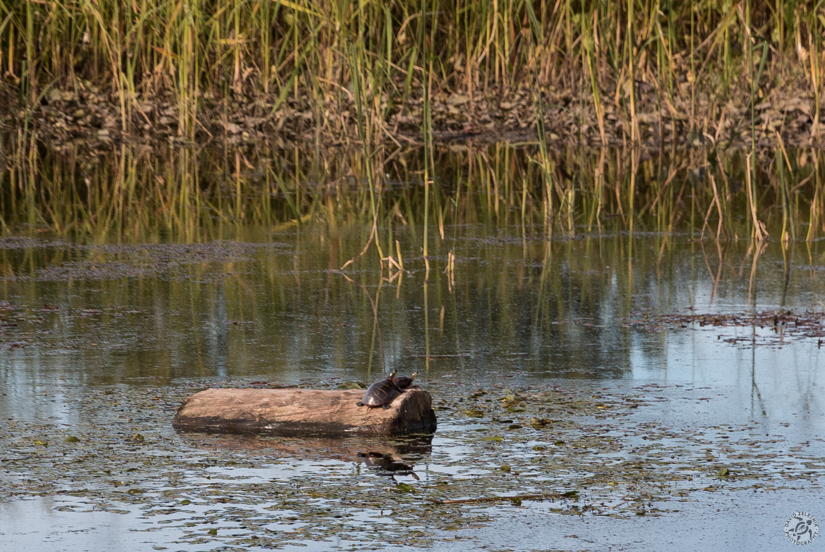 CT River Cruise-008