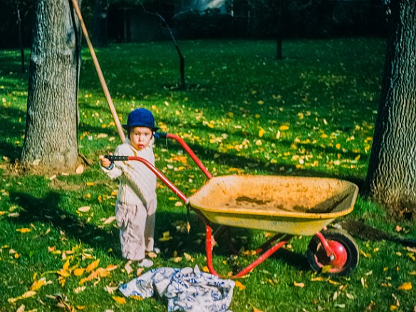 David Fall 1957 Baby Dave and his wheelbarrow