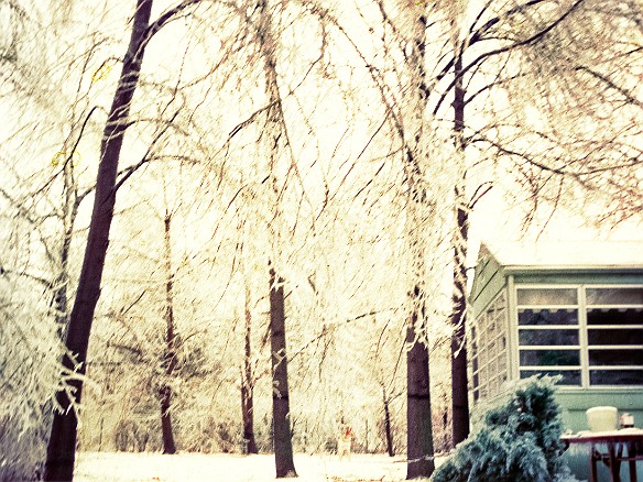 HouseWinter1974-002 View from rear of my folks' house, Winter 1974 during the ice storm. You can just make out Mocha, our German Shepherd, who had a dog run between two trees.
