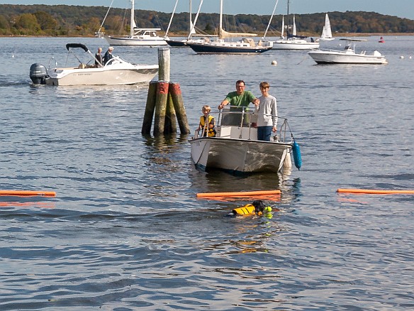 DogsOnTheDock2019-012 In fact, this was the only dog that in fact leaped off the dock and fetched their toy, so it was the de facto winner. The others either refused to jump into the...