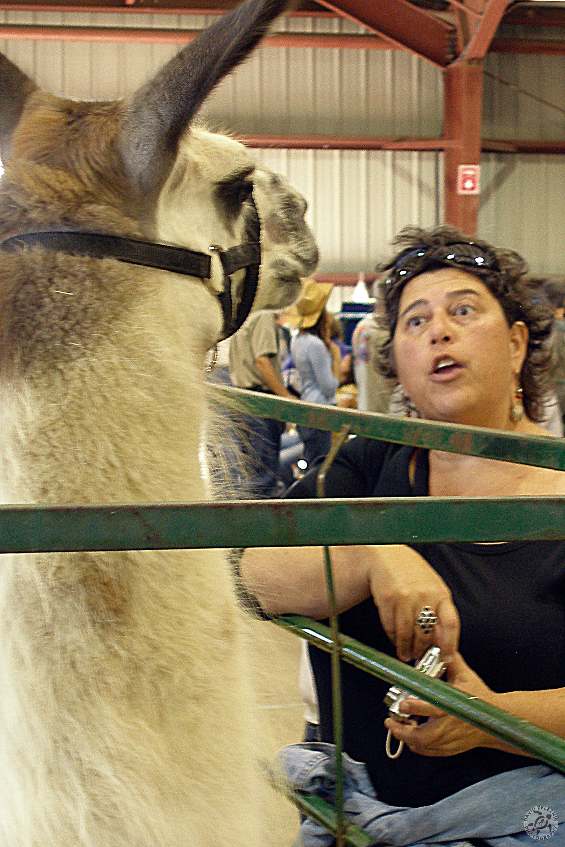 Durham Fair 2007-35