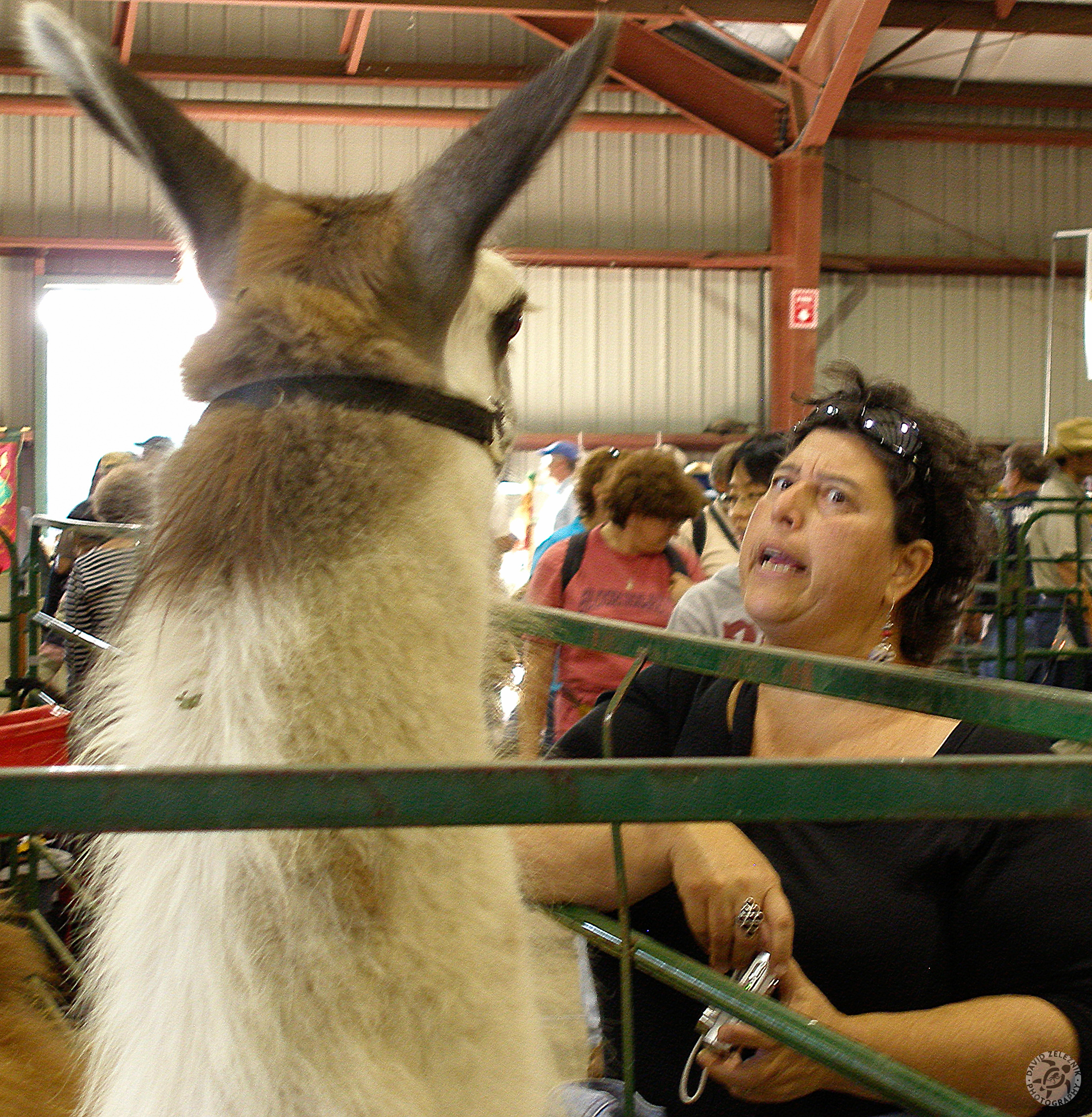 Durham Fair 2007-36