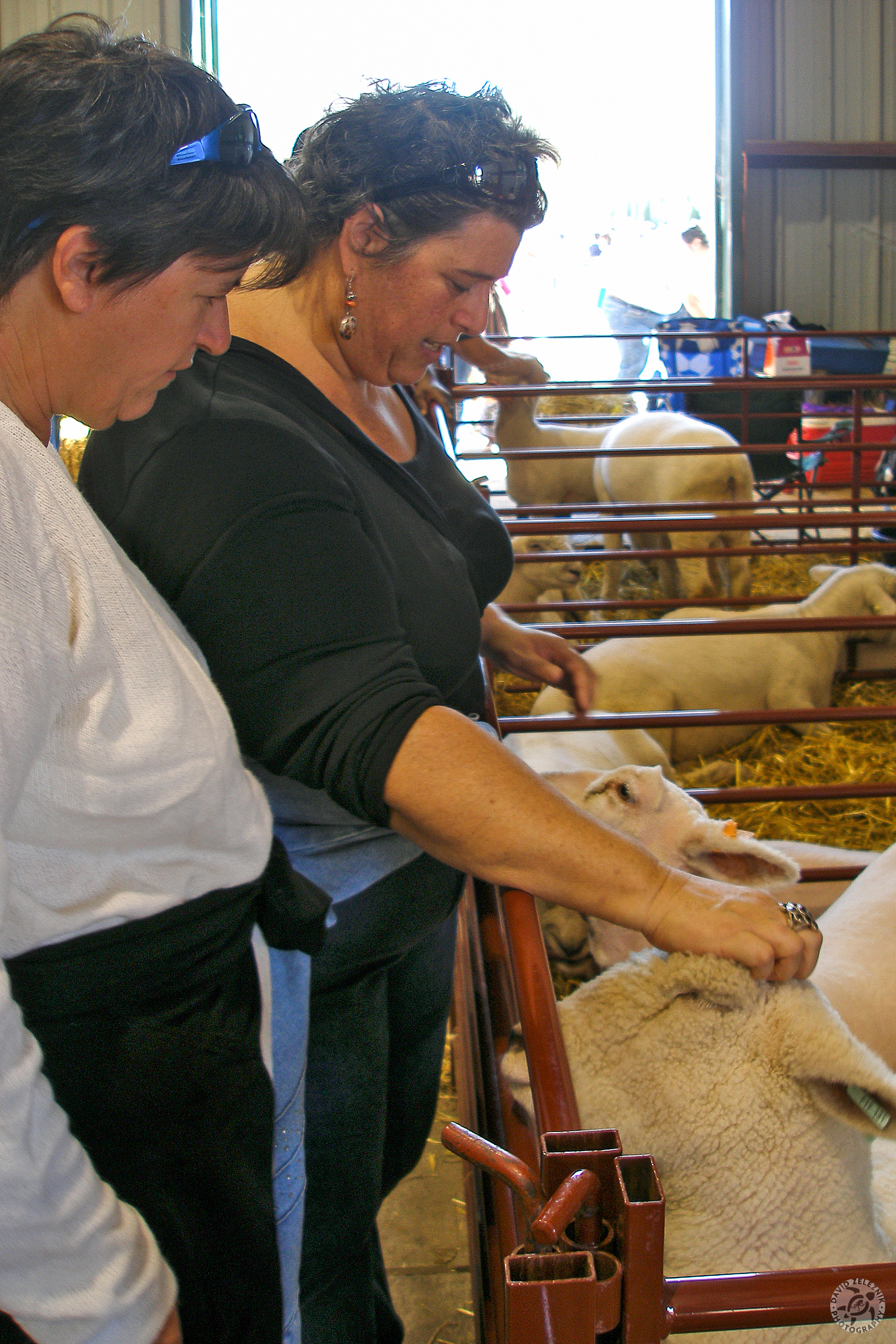 Durham Fair 2007-40