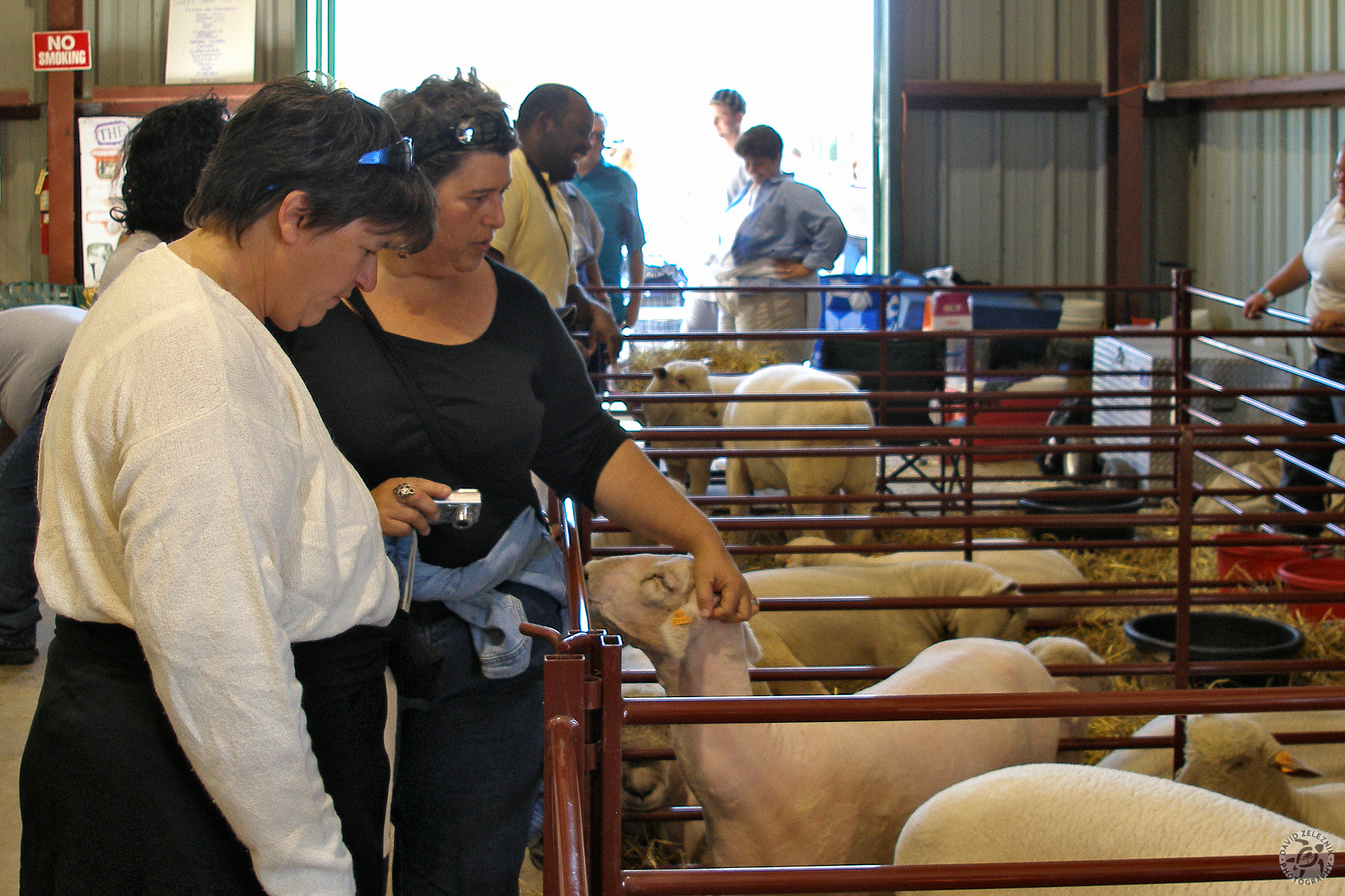 Durham Fair 2007-41