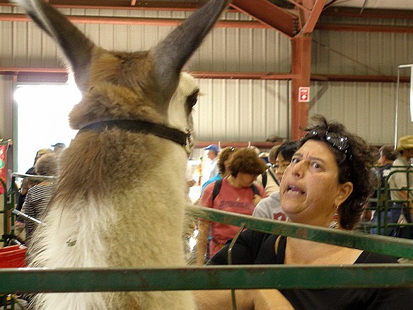 Durham Fair 2007-36.jpg