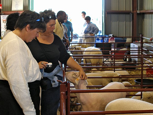 Durham Fair 2007-41.jpg