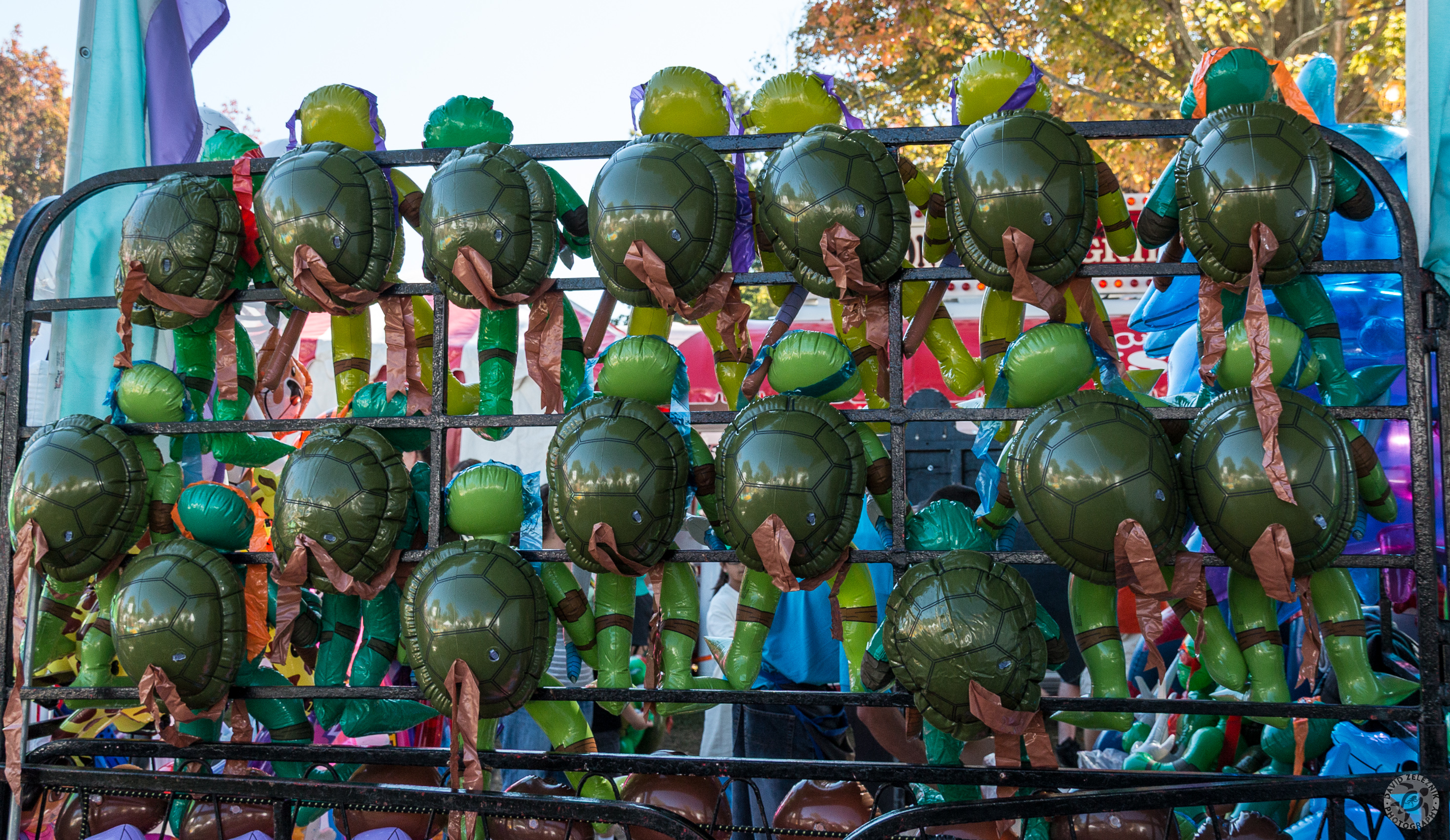 Durham Fair 2014-005