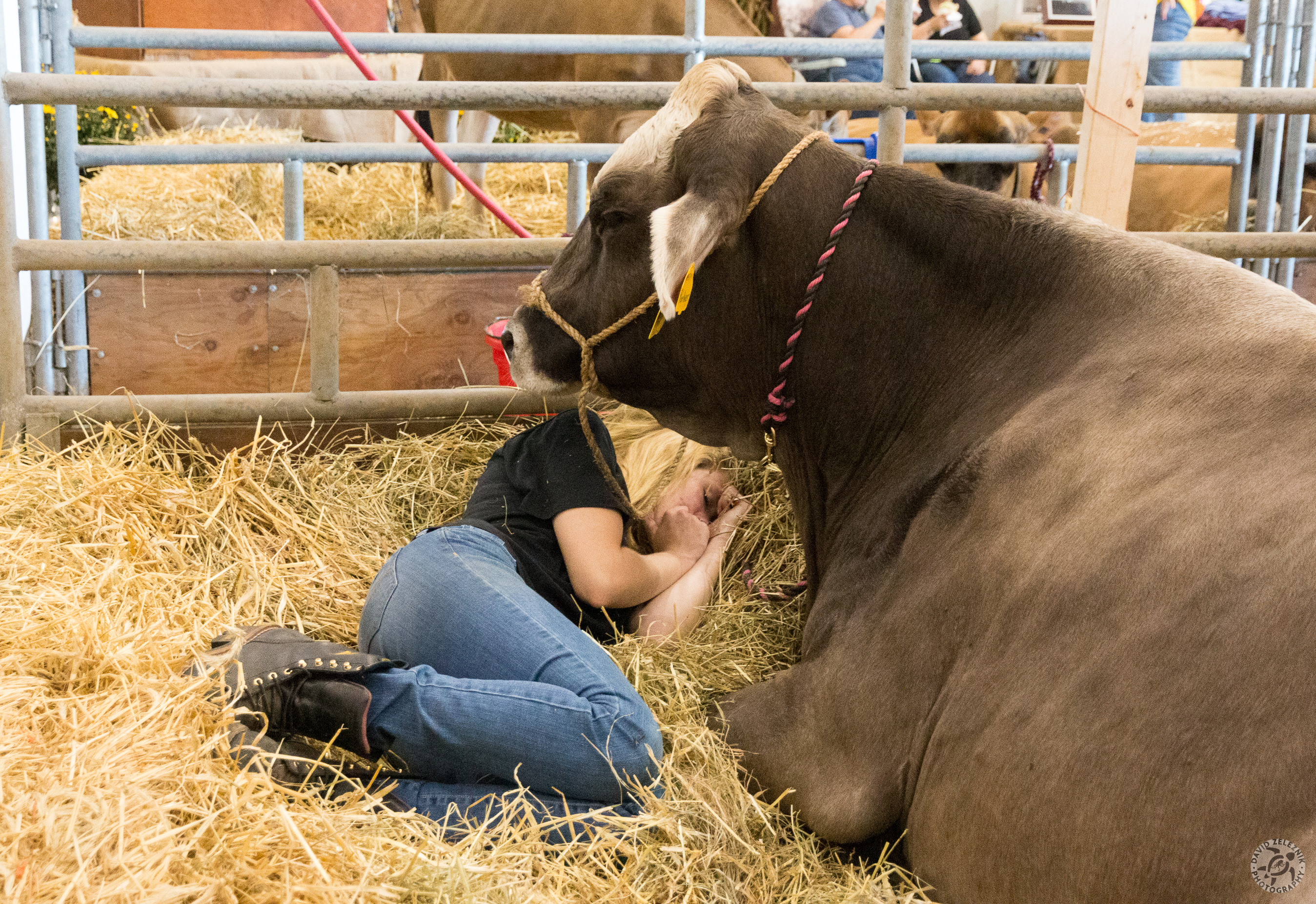 Durham Fair 2014-011