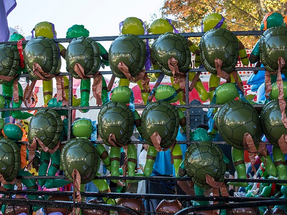 Mutant blow-up turtles waiting to be claimed by screaming kids Sep 27, 2014 1:07 PM : animal, reptile, reptilia, testudines, turtle