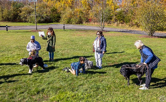 BlessingOfTheAnimals2022-009 A beautiful Fall Sunday afternoon for Rabbi Bellows and Cantor Belinda to bless the animals with song, a little dance, and lots of praise 🙏💕