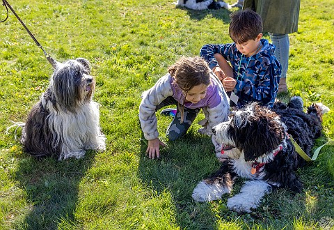 BlessingOfTheAnimals2022-020 A beautiful Fall Sunday afternoon for Rabbi Bellows and Cantor Belinda to bless the animals with song, a little dance, and lots of praise 🙏💕