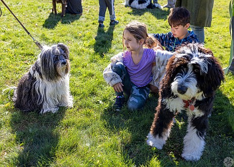 BlessingOfTheAnimals2022-022 A beautiful Fall Sunday afternoon for Rabbi Bellows and Cantor Belinda to bless the animals with song, a little dance, and lots of praise 🙏💕