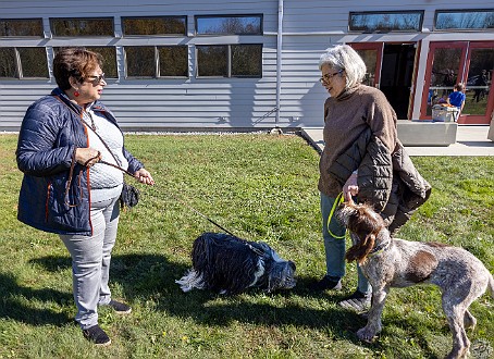 BlessingOfTheAnimals2022-043 A beautiful Fall Sunday afternoon for Rabbi Bellows and Cantor Belinda to bless the animals with song, a little dance, and lots of praise 🙏💕