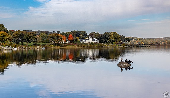 RiverviewCemetery-002 Beautiful fall view of the North Cove, Foxboro Point, roosting cormorants, and the iconic