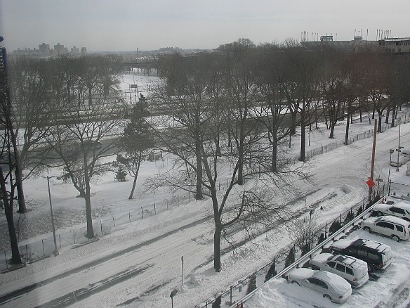 Grand Central Parkway, not exactly the Champs Elysees! Jan 23, 2005 12:24 PM