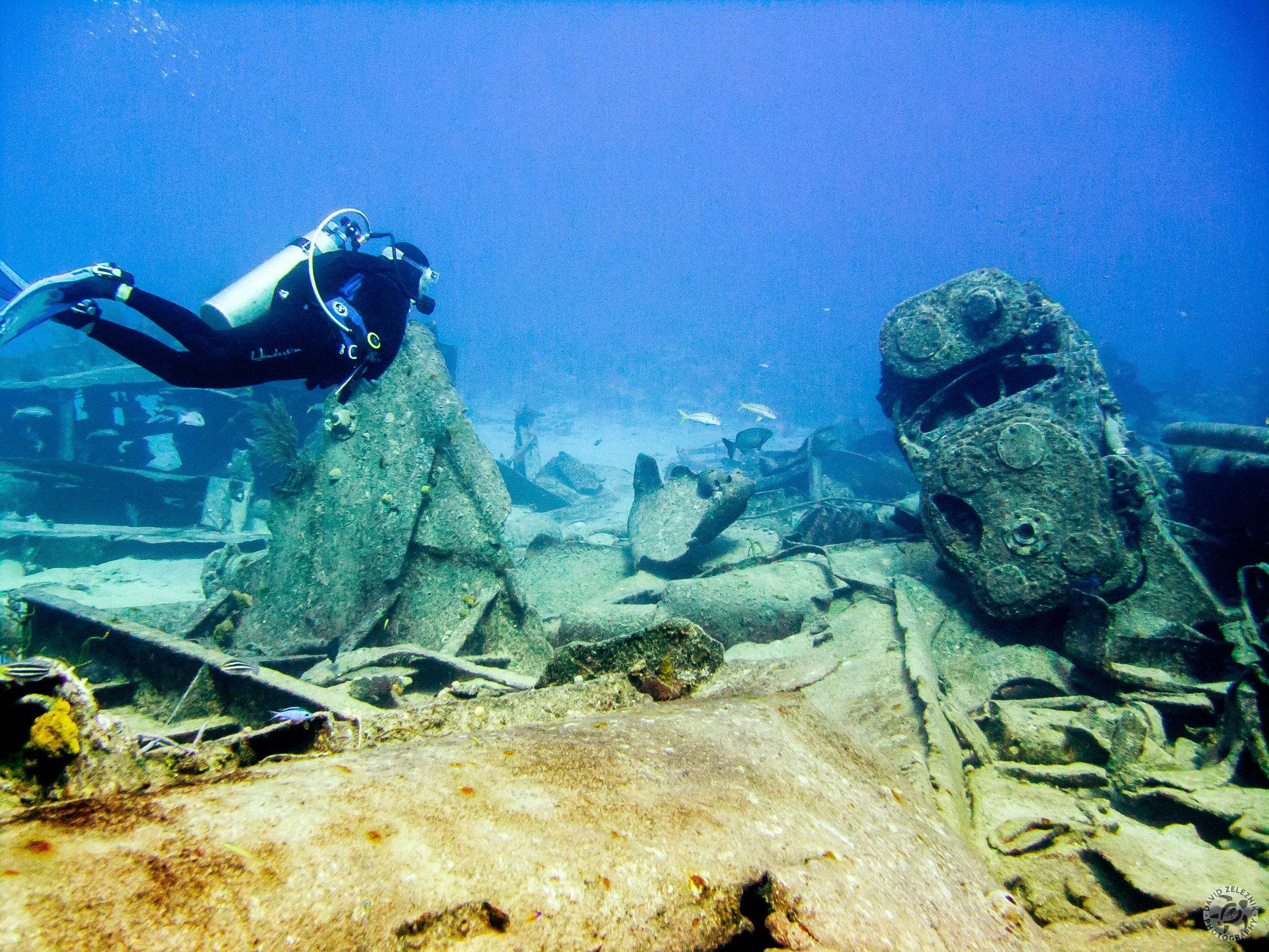 The Oro Verde was a ship intentionally sunk in 1980. Since then, many storms have broken up the wreck and spread it across the bottom.